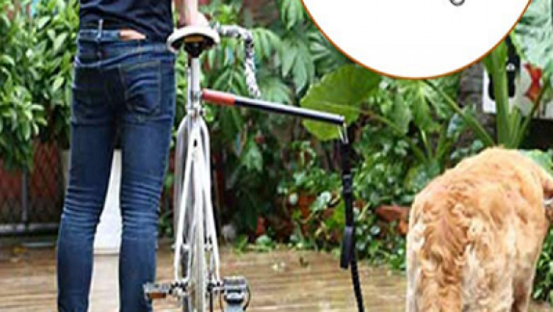What should you know about GAUTERF visibility Pet Harness & Leash?