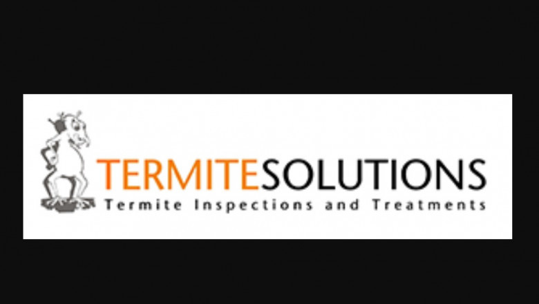 Choosing The Best Termite Treatment Solutions