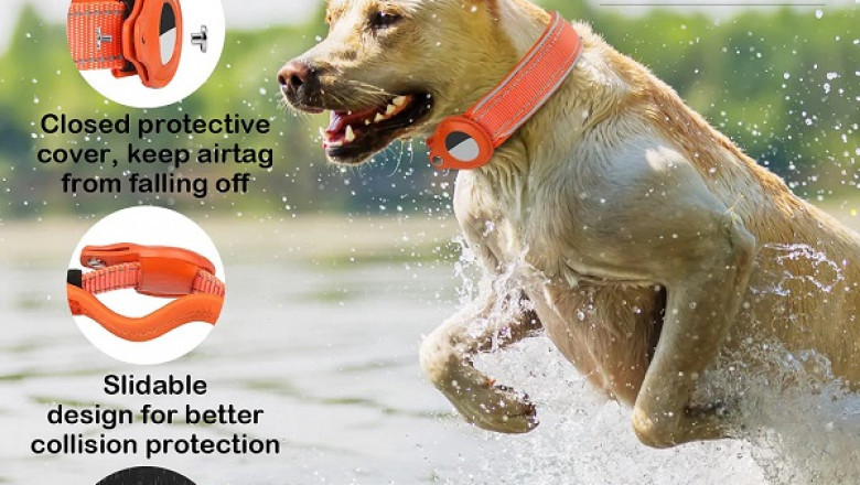 Airtag Collars Are the Best Friend of Animal Trainers
