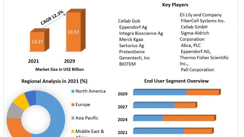 Antibody Production Market Growth, Trends, Leading Players And Business Insights Forecast To 2029