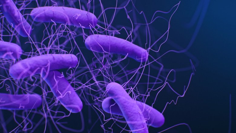 Clostridium Difficile Immunoassays Market | Global Industry Trends, Segmentation, Business Opportunities & Forecast To 2028