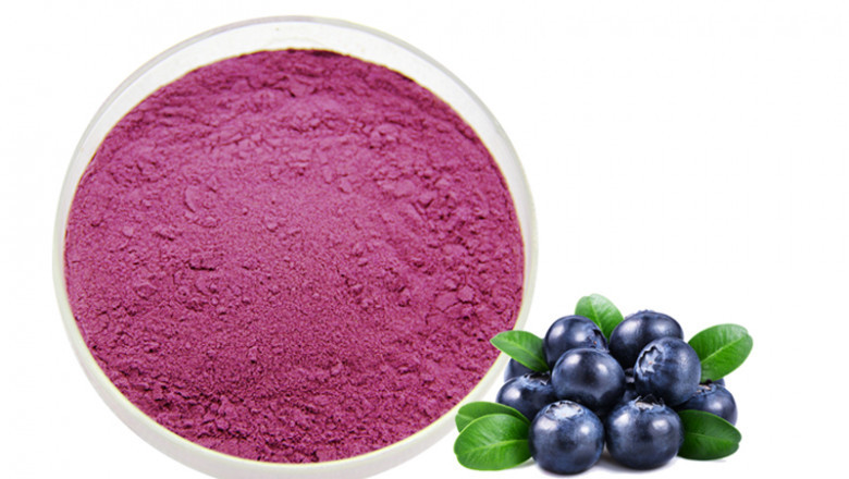 Global Blueberry Extract Market - Forecast (2022 - 2027)