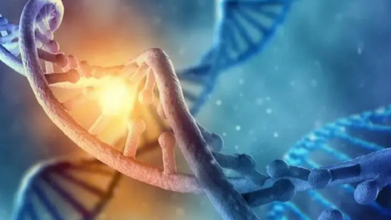 Is Theta Healing Service Ideal For You?