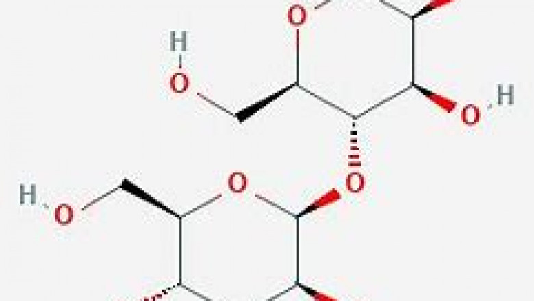Mannobiose Market Analysis & Trends Report 2028 – Value Market Research
