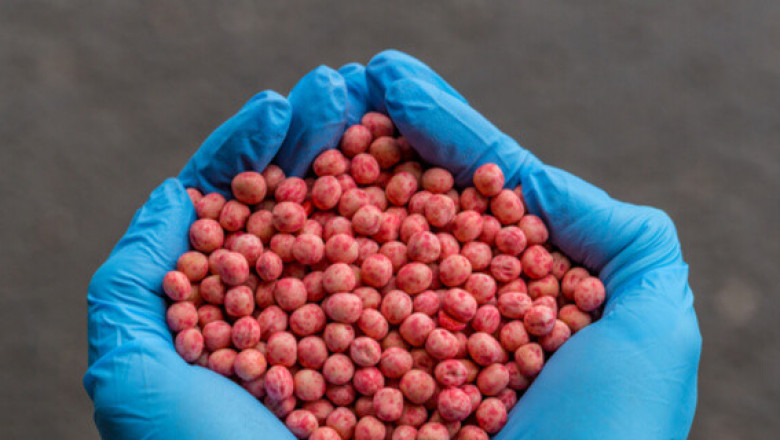 Seed Treatment Chemicals Market 2022 Size, Key Players & Forecast Report to 2028