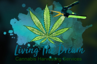 TRIMMING: EXPERT HAND VS. AUTOMATIC MACHINE | LTD TRIMMING