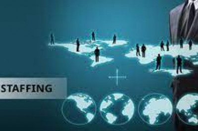 7 Important Things That You Should Mention in Employment Contract