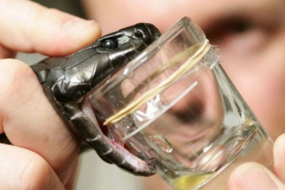 Global Anti-venom Market Analysis, Drivers, Restraints, Opportunities, Threats, Trends, Applications, And Growth Forecast To 2027