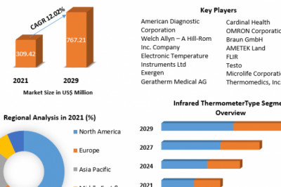 Global Infrared Thermometer Market Target Audience, Growth, Share And Forecast 2029