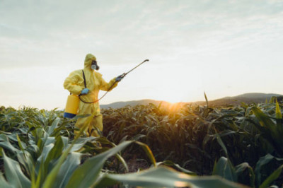 How to Keep your House Clean and Safe from Bugs.