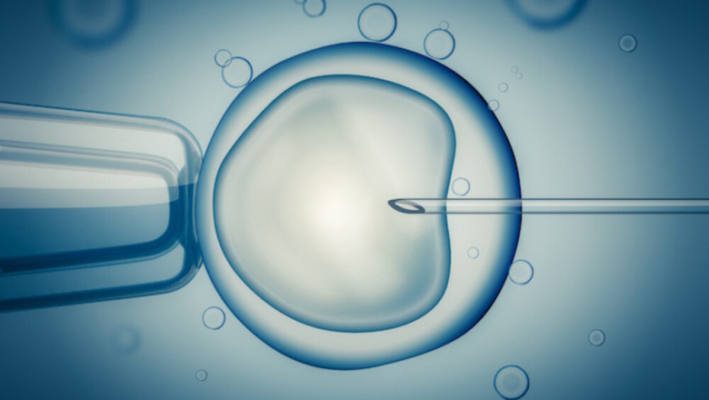 Infertility Treatment | Best IVF Specialist in Indore