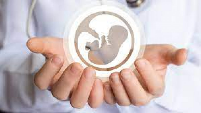 IVF Services Market | Global Industry Trends, Segmentation, Business Opportunities & Forecast To 2028