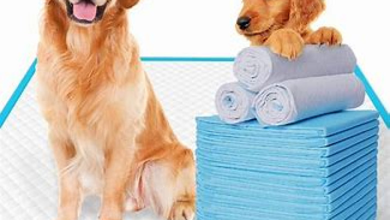 Puppy Training Pads Market 2022 | Industry Demand, Fastest Growth, Opportunities Analysis and Forecast To 2028