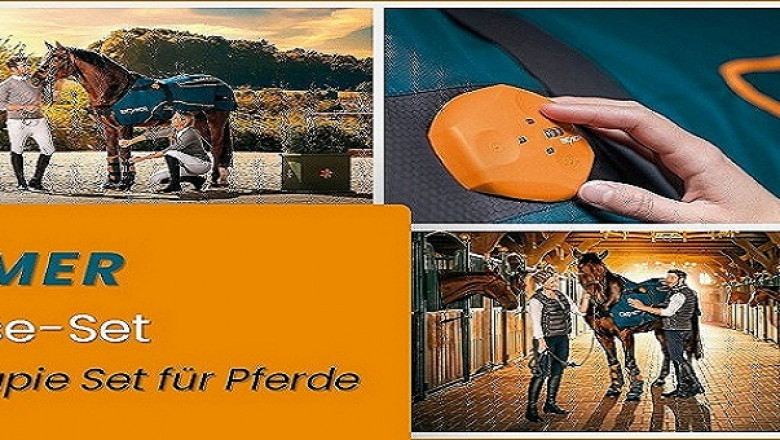 Was sollten Sie beim Reiten tragen?