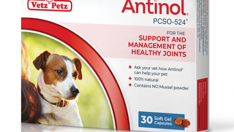 What is Good Arthritis Medicine For Dogs?