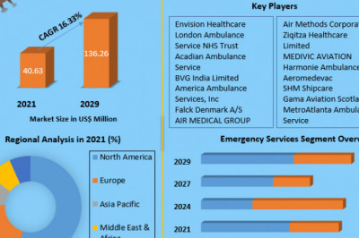 Ambulance Services Market Future Growth, Competitive Analysis and Forecast 2029
