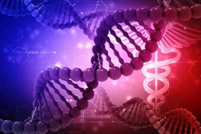 Brief about the Metabolomics