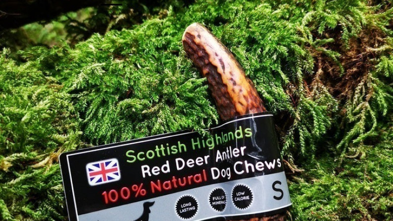 Deer Antlers vs. Himalayan Yak Chews For Dogs: Which One Is Best