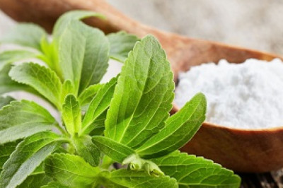 Global Stevia Market, Forecast 2022-2028