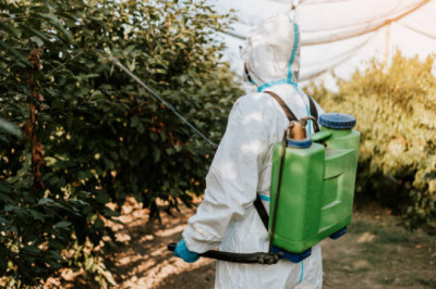 How to Choose the Right Pest Control Products