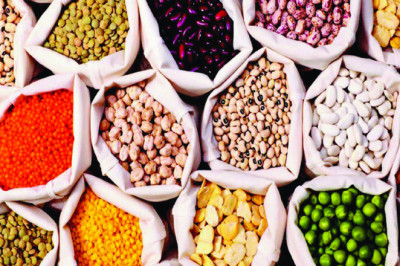 A Hybrid Seeds Is Derived From A Natural Out-Breeding Crop, Whereas An Inbred Line Is Developed From These Crops By Repeated Self-Pollination