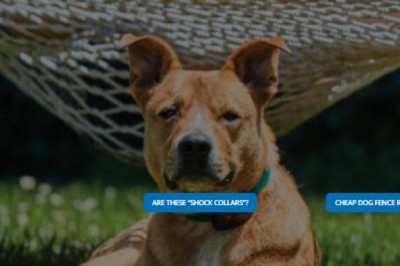 HOW CAN I MAKE AN INEXPENSIVE DOG FENCE?