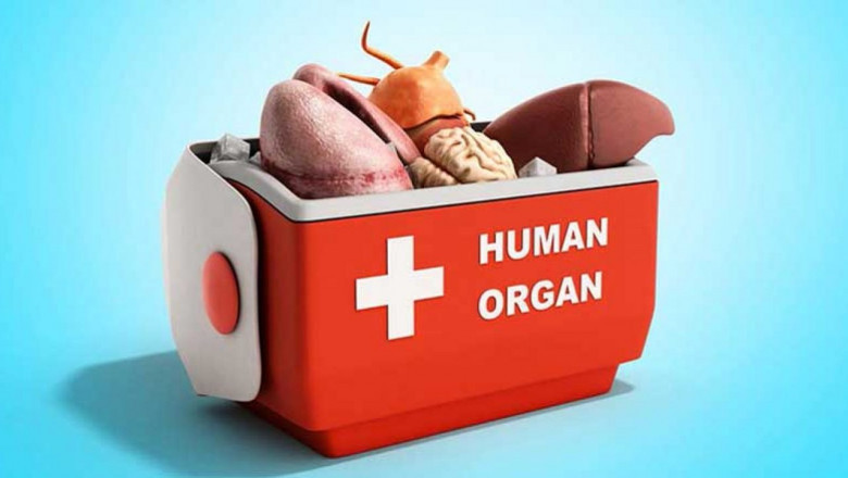 Prior To Transplantation, Organ Preservation Solutions Are Used To Preserve The Organs