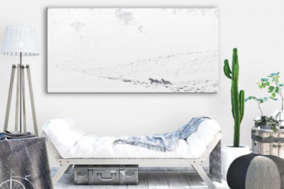 What Are the Different Kinds of Commercial Photography?