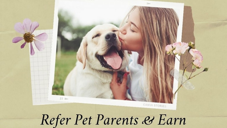 Why choose a trusted and verified dog sitting and dog boarding services