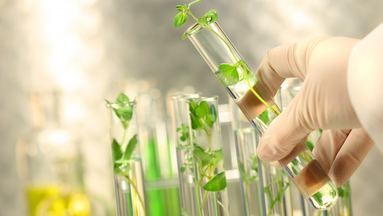 Agricultural Testing Aids In Determining To Improve Plants Require In Order To Grow Optimally