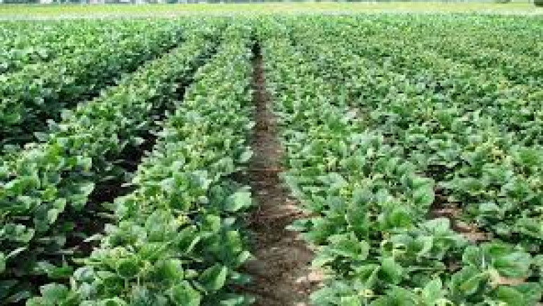 Aquatic Herbicides Market, share, size, and Growth 2027