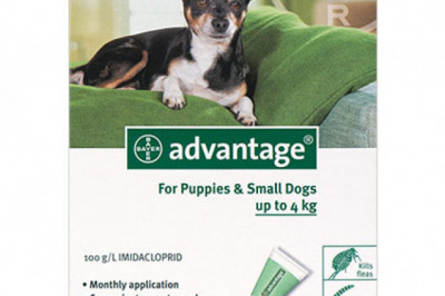 Buy Advantage Flea & Tick for Dogs | Discount 15%