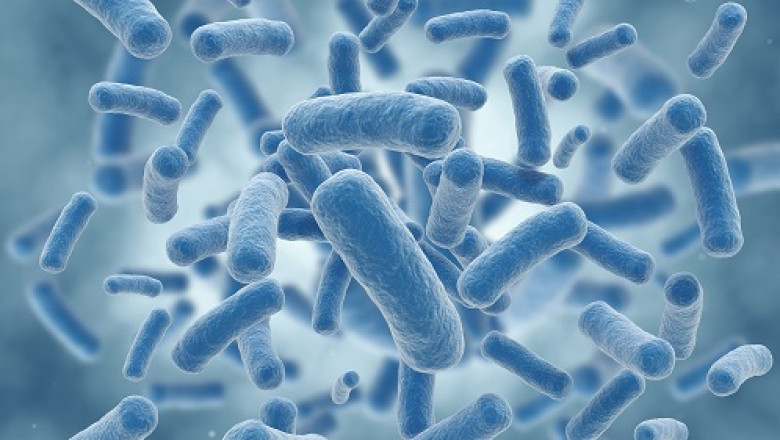 In the oil and petroleum sector, Microbial Enhanced Oil Recovery is an advanced Biological-Based Technology