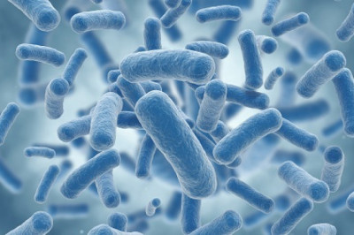 In the oil and petroleum sector, Microbial Enhanced Oil Recovery is an advanced Biological-Based Technology