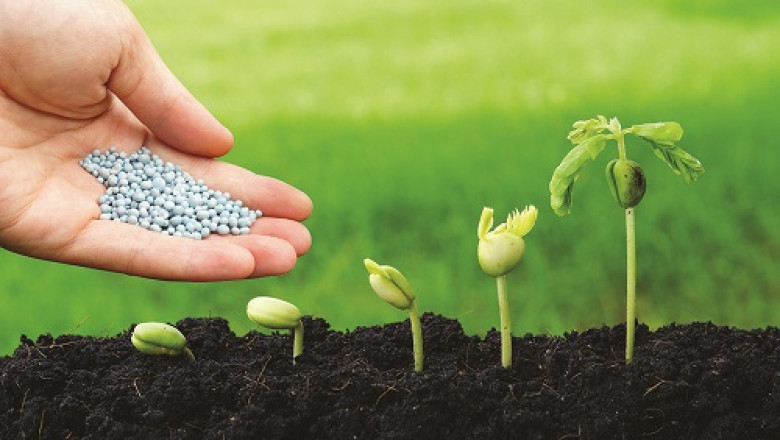 The Agricultural Micronutrients Market: Global Industry Trends, Size, Growth, Opportunity, and Forecast 2022-2028