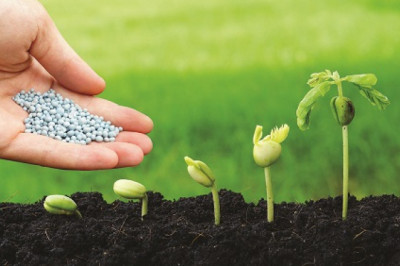 The Agricultural Micronutrients Market: Global Industry Trends, Size, Growth, Opportunity, and Forecast 2022-2028