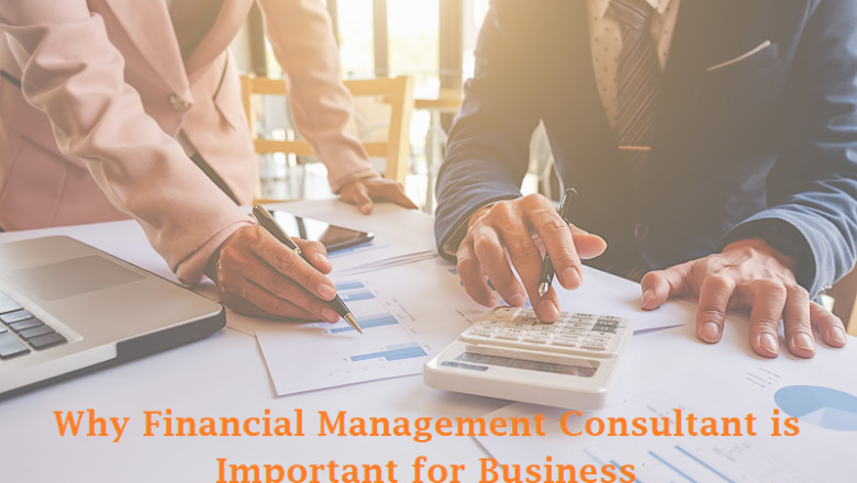 Why Financial Management Consultant is Important for Business