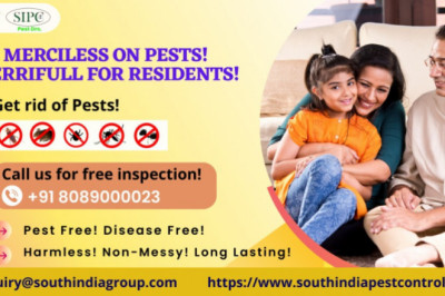Best Pest Control Services in Bangalore