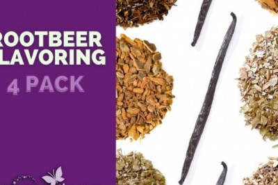 An Overview of Kombucha Root Beer