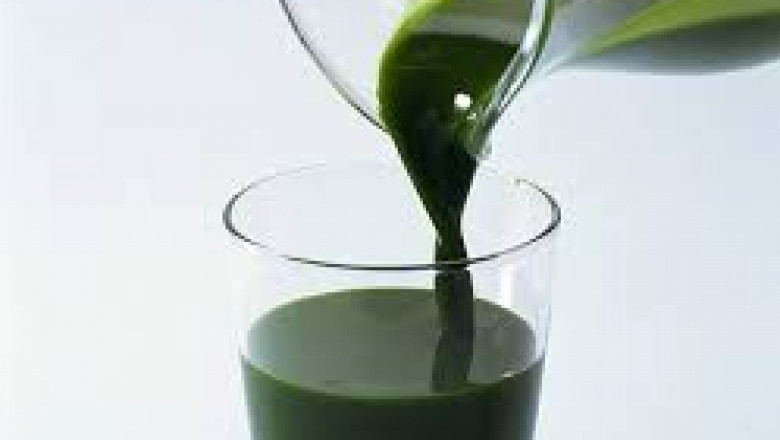 Chlorophyll Extract Market Size, Key Players & Forecast Report to 2028