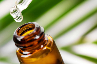 Global Liquid Nutritional Supplement Market Size, Share, Latest Trades and Growth Analysis Report Till 2028