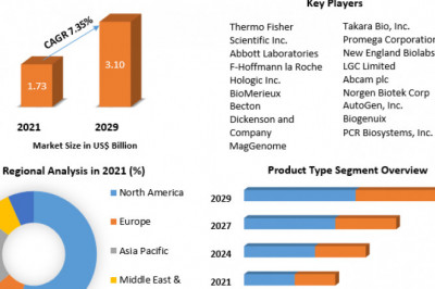 Global Pneumonia Testing Market Industry Outlook, Size, Growth Factors and Forecast To 2029
