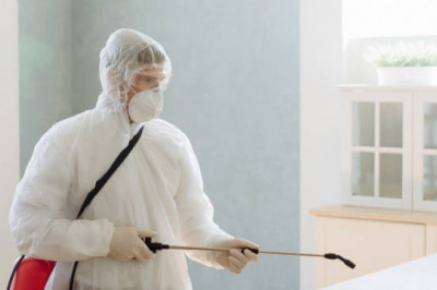 Ideas About Pest Control Are Very Easy When You've Got Great Tips!