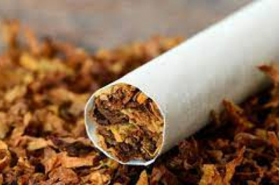 Tobacco Market - Forecast (2022 - 2027)