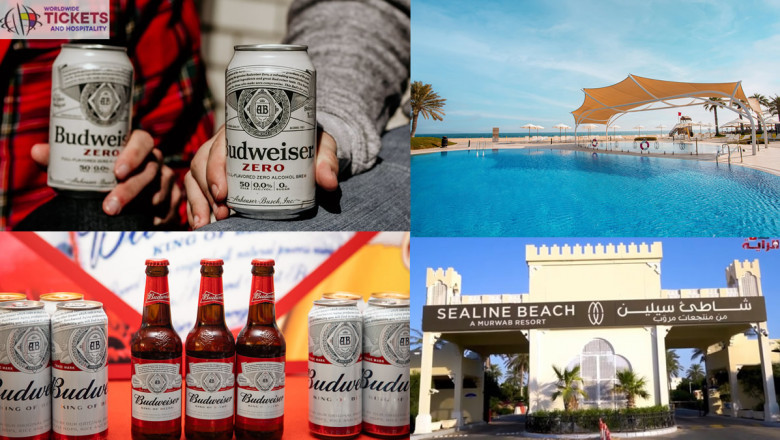 Budweiser predicts record beer sales in Qatar During Football World Cup
