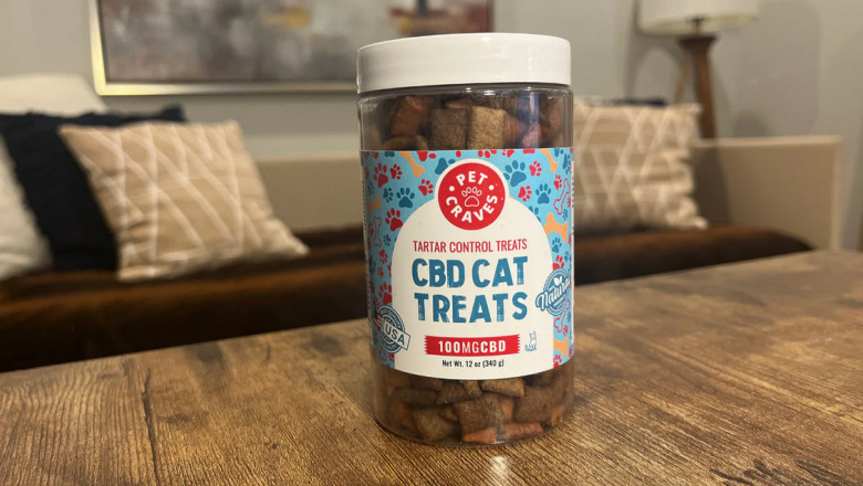 How to Use CBD to Treat Your Cat - A Comprehensive Guide