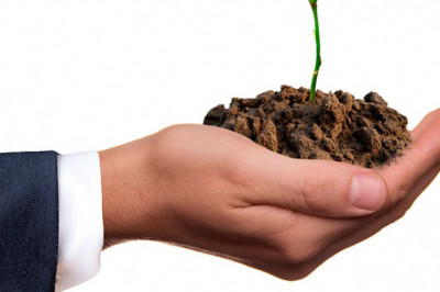 The simplest ways to become carbon neutral