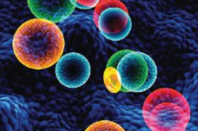 Apoptosis Assays Market Report 2028 | Industry Analysis By Top Key Players