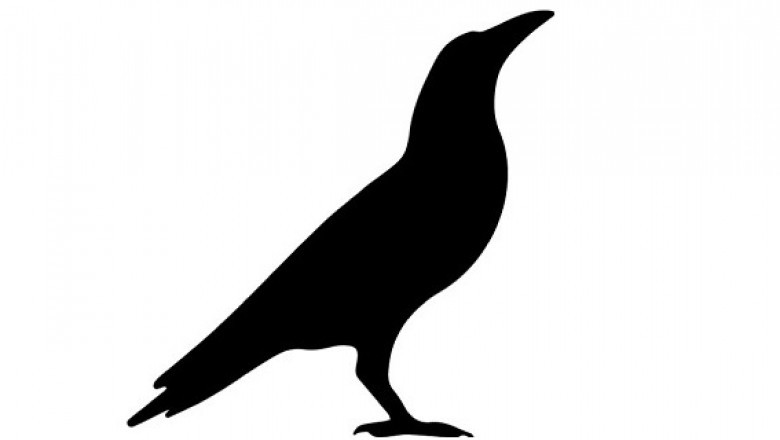 Are you looking for a logo design company?