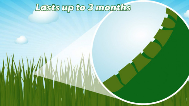 Find the Best Instant Green Lawn Spray in Australia